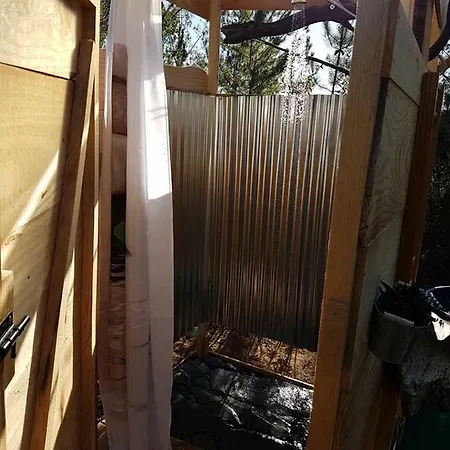 Tipi
