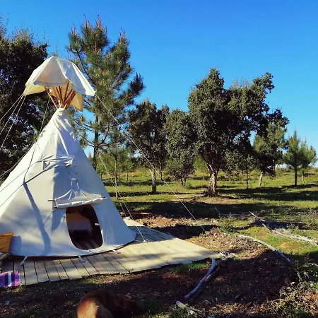Οργανωμένο κάμπινγκ Tipi