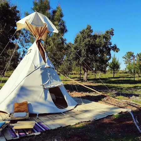 Tipi *