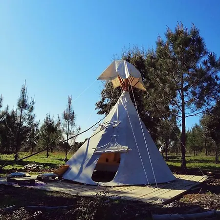 Tipi *