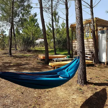 Tipi